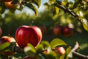 apples on a tree in the sun. AI-Generated photo