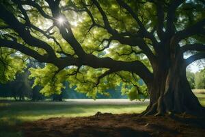 the sun shines through the leaves of a large tree. AI-Generated photo