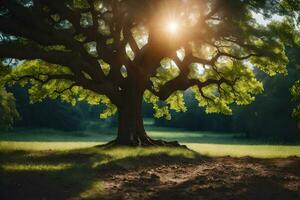 el Dom brilla mediante el hojas de un grande árbol. generado por ai foto