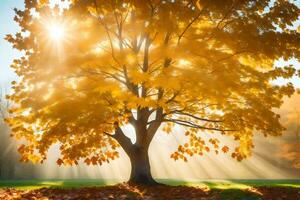 autumn tree with sunbeams shining through leaves. AI-Generated photo