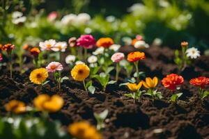 many different colored flowers are growing in the dirt. AI-Generated photo