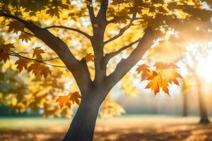 autumn leaves on a tree in a park. AI-Generated photo