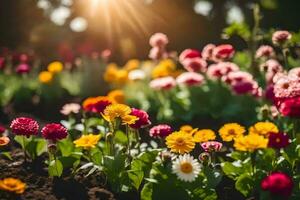 colorful flowers in the sun. AI-Generated photo