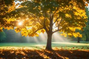 autumn tree with sun rays shining through leaves. AI-Generated photo