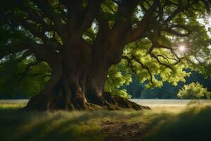 the sun shines through the tree trunk of an old oak tree. AI-Generated photo