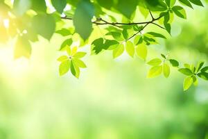 green leaves on a tree branch in the sunlight. AI-Generated photo