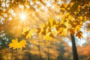 autumn leaves in the sun. AI-Generated photo