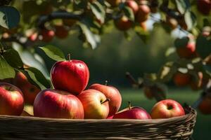 manzanas en un cesta en un árbol. generado por ai foto