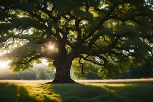 el Dom brilla mediante el ramas de un roble árbol. generado por ai foto