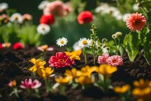 a field of colorful flowers in the garden. AI-Generated photo