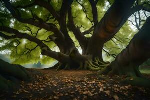 el gigante roble árbol en el bosque. generado por ai foto