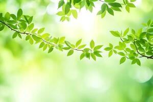 green leaves on a sunny day. AI-Generated photo