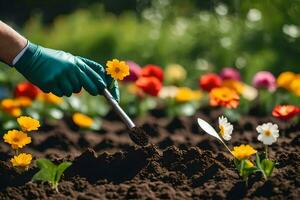 a person in gloves is digging dirt with a garden trowel. AI-Generated photo