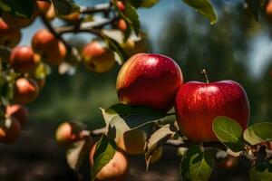 dos manzanas son en el árbol rama con hojas. generado por ai foto