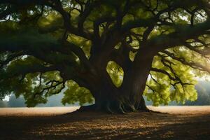 el Dom brilla mediante el hojas de un antiguo roble árbol. generado por ai foto