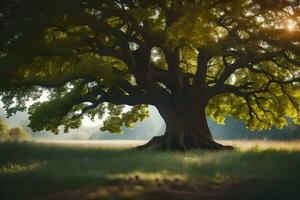 un antiguo roble árbol en el medio de un campo. generado por ai foto