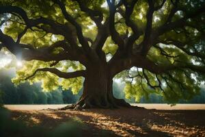 el Dom brilla mediante el hojas de un antiguo roble árbol. generado por ai foto