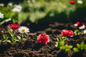 a field of flowers in the spring. AI-Generated photo