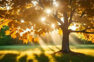 sunbeams shining through a tree in the autumn. AI-Generated photo