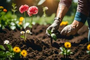 un persona es plantando flores en el jardín. generado por ai foto