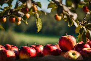 apples are sitting on the ground in front of a tree. AI-Generated photo