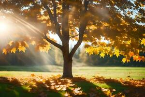 autumn leaves on a tree in the sun. AI-Generated photo