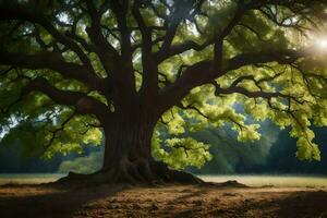 the sun shines through the leaves of a large tree. AI-Generated photo