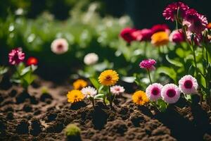 a field of colorful flowers in the dirt. AI-Generated photo