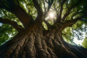 the sun shines through the branches of a large tree. AI-Generated photo