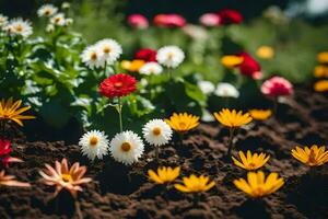 many different colored flowers are growing in the dirt. AI-Generated photo