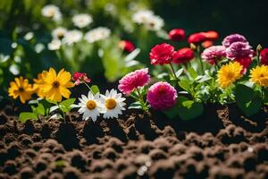 many different colored flowers are growing in the dirt. AI-Generated photo