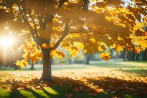 autumn leaves on the ground in a park. AI-Generated photo