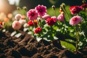 many different types of flowers are growing in the dirt. AI-Generated photo