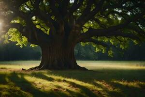 el Dom brilla mediante el hojas de un antiguo roble árbol. generado por ai foto