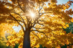 sun shining through a tree in autumn. AI-Generated photo