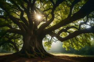 el Dom brilla mediante el ramas de un antiguo árbol. generado por ai foto