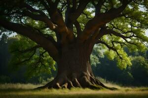 un roble árbol es mostrado en el medio de un campo. generado por ai foto