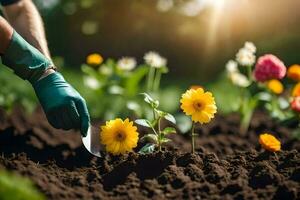 un persona en guantes y verde guantes es plantando flores generado por ai foto