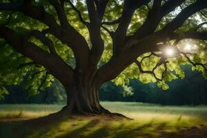 the sun shines through the leaves of a large tree. AI-Generated photo
