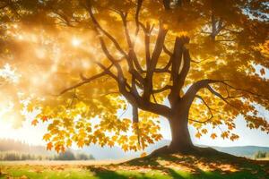 autumn tree with sun shining through leaves. AI-Generated photo