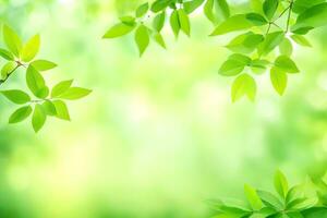 verde hojas en un soleado antecedentes. generado por ai foto