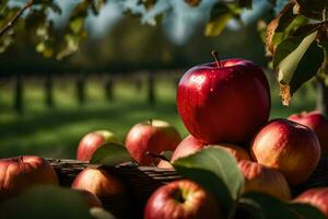 manzanas en un cesta en un árbol. generado por ai foto