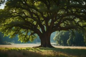 un roble árbol en un campo con césped y arboles generado por ai foto