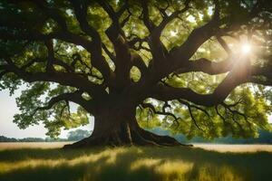 the sun shines through the branches of an old oak tree. AI-Generated photo