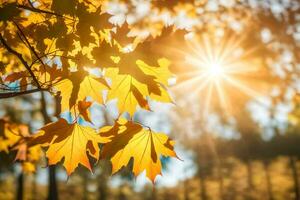 autumn leaves in the sun. AI-Generated photo
