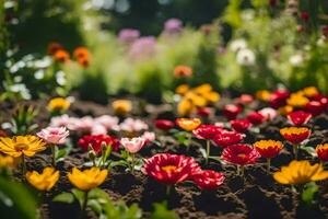 vistoso flores en un jardín. generado por ai foto