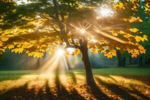 sunbeams shine through the leaves of a tree in an autumn park. AI-Generated photo