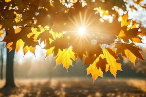 the sun shines through the leaves of a maple tree. AI-Generated photo