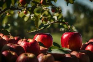 apples are sitting on the ground in a field. AI-Generated photo