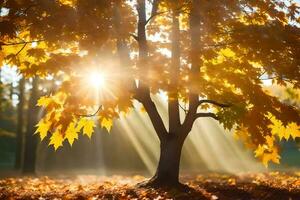 otoño árbol con Dom rayos brillante mediante hojas. generado por ai foto